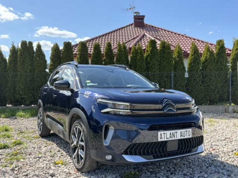 Синий Citroen C5 Aircross на европейской площадке